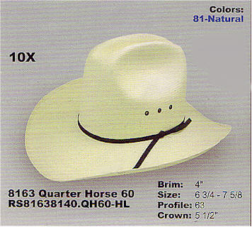 Quarter Horse image.